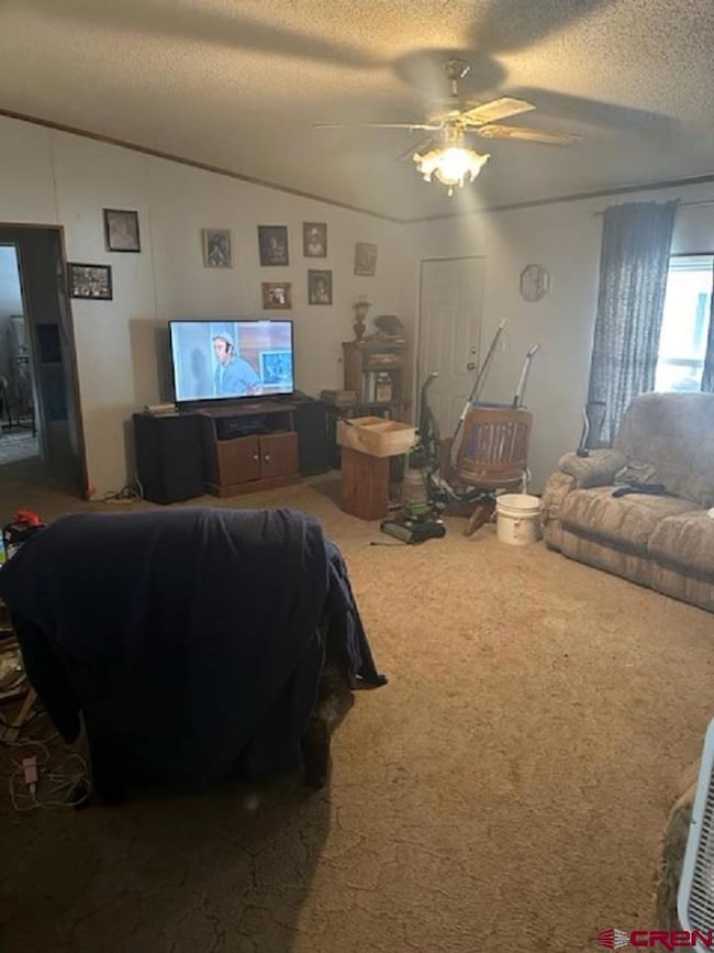 23057 Frost Rd, Cedaredge, CO 81413 - photo 2