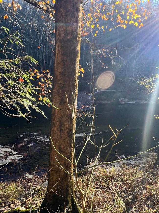 1844 Meece Rd, Somerset, KY 42501 - photo 6