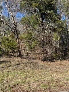 63.74 Acre Chestnut Valley Rd, Vonore, TN 37885 - photo 5
