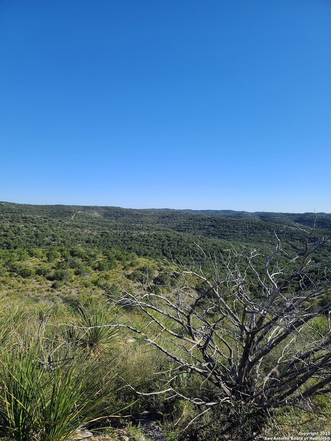 TBD H55 C408, Uvalde, TX 78801 - photo 2