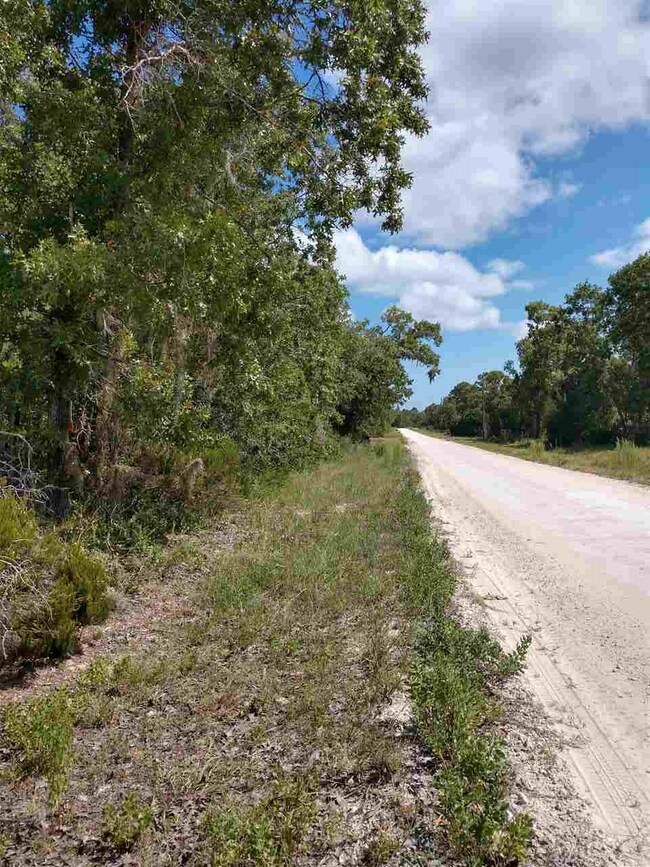 0 Sea Oaks Dr unit 294380, Perry, FL 32348 - photo 3