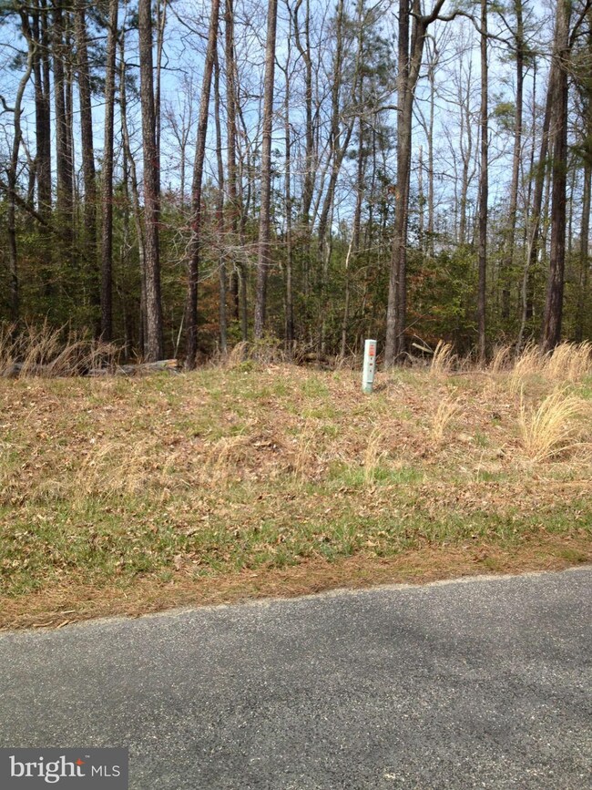 0 Sandy Beach Ln unit 1002228048, King George, VA 22485 - photo 4