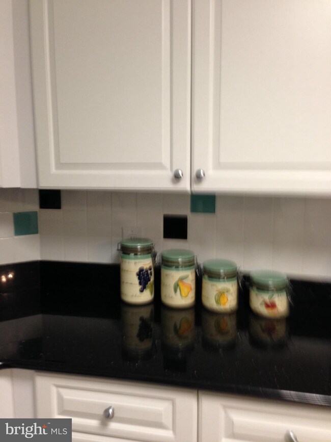 3011 Fallstaff Rd unit 304A, Baltimore, MD 21209 - photo 4