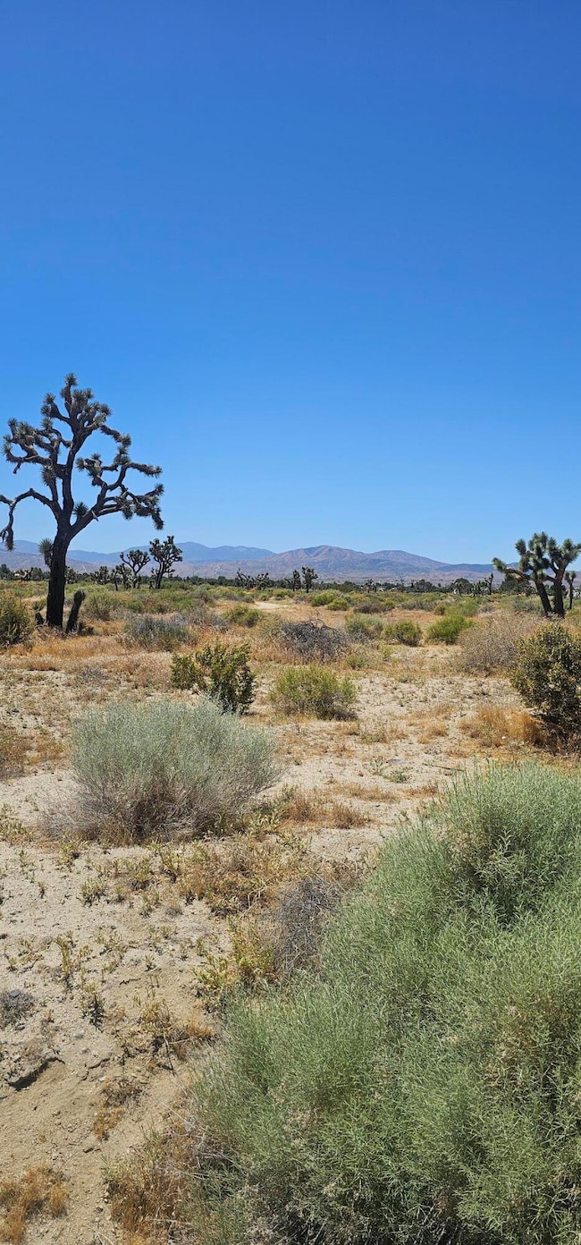 0 Palmdale Blvd 55th St E, Palmdale, CA 93550 - photo 4