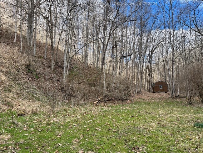 00 Tribble Ridge Rd, Leon, WV 25123 | Homes.com