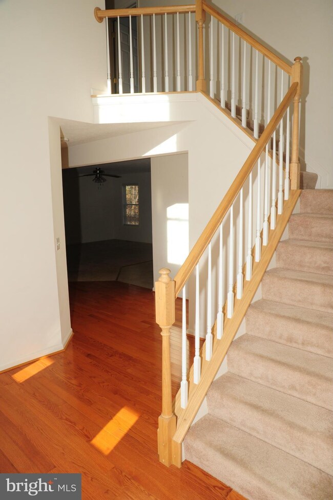 46878 Anita Ct, Lexington Park, MD 20653 - photo 4