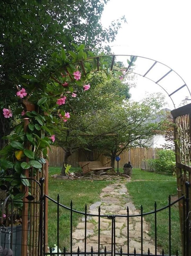 Photo 4