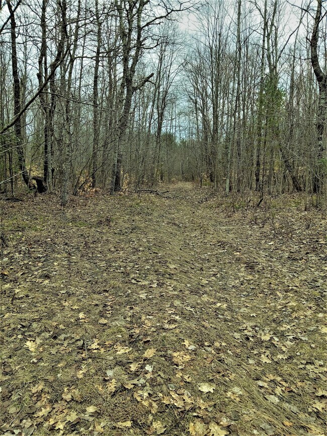 20230415_163156 (2)