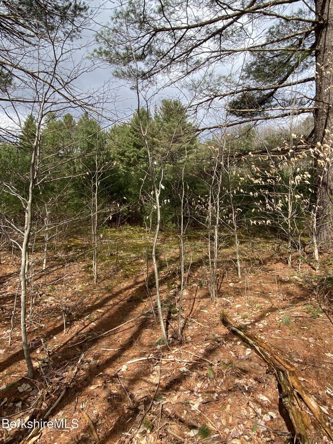 unlisted-address, Cummington, MA 01026 - photo 4