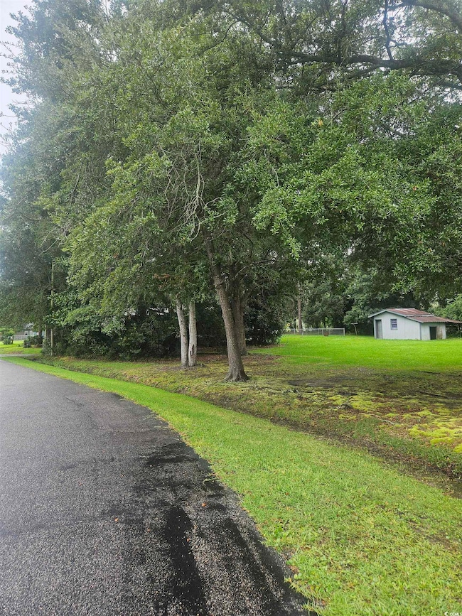 21 Brandy Ln, Georgetown, SC 29440 - photo 6