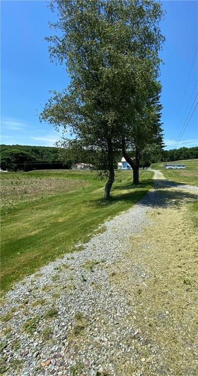 11 Fox Ln, Tamaqua, PA 18252 - photo 4