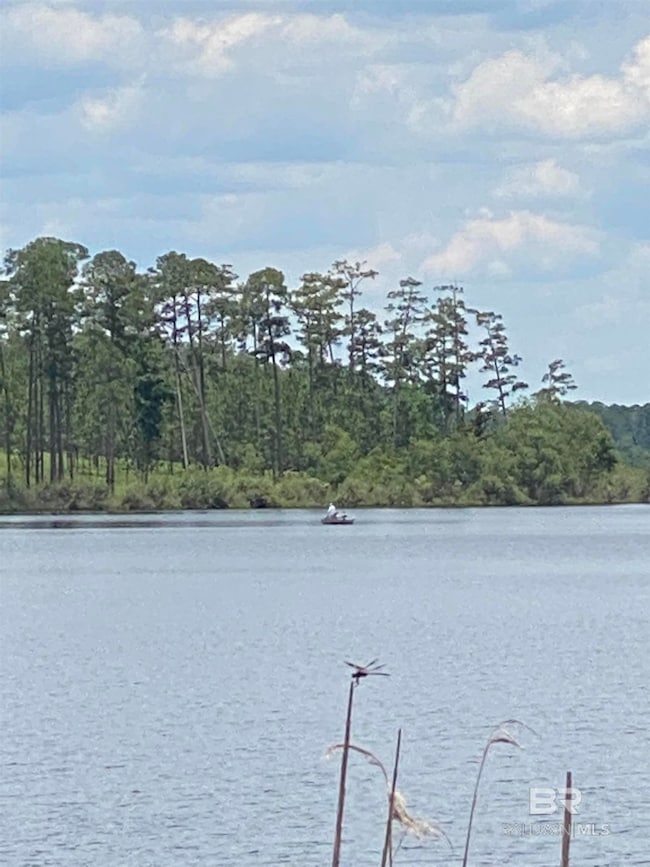 34 Steelwood Ridge Rd unit 34, Loxley, AL 36551 - photo 4