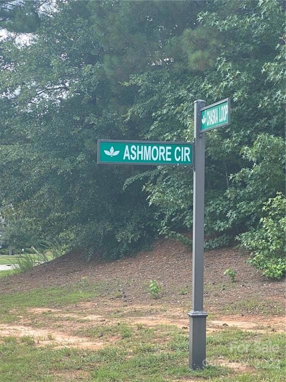 195 Ashmore Cir unit 80, Troutman, NC 28166 - photo 4