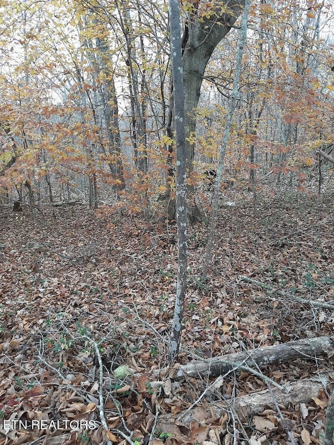 Old Hearth Dr