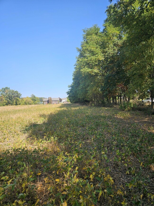 VL Thorne Rd, Horton, MI 49246 - photo 6