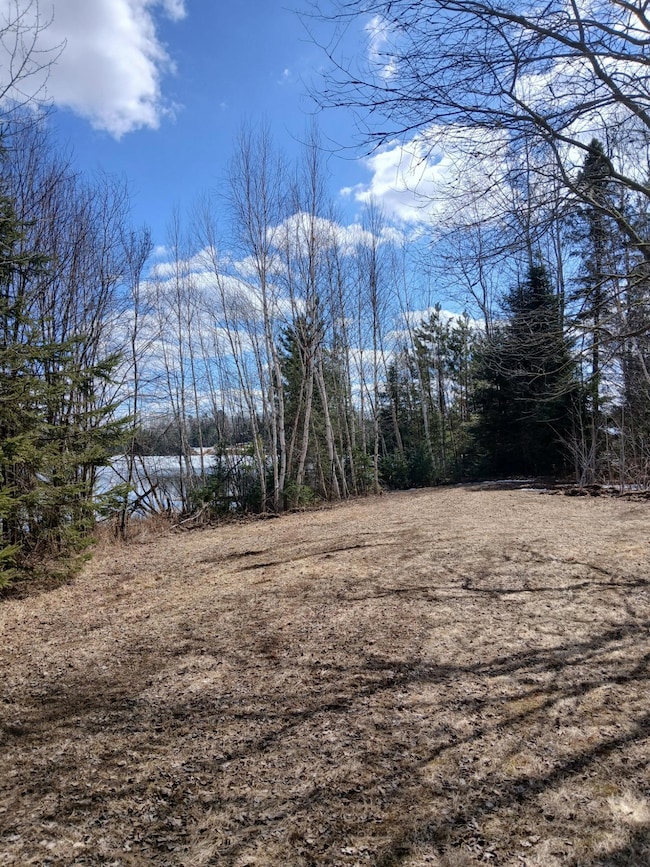 Lot 31 Shady Knoll Rd unit Lot 31, Fifield, WI 54552 - photo 3