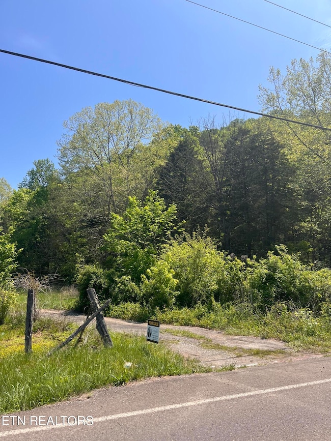 9406 Heiskell Rd, Heiskell, TN 37754 - photo 2