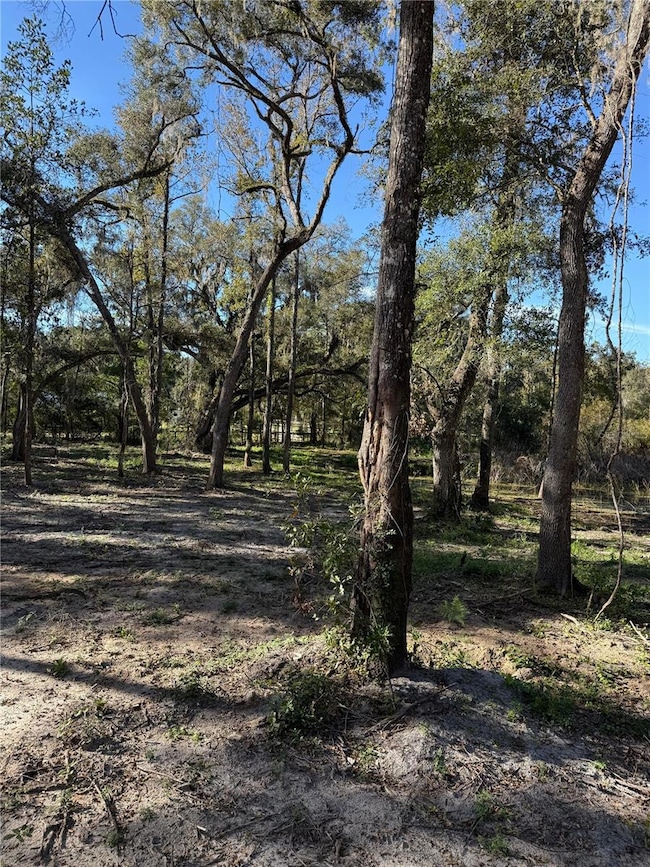 0 NW 7th Place, Ocala, FL 34482 - photo 4