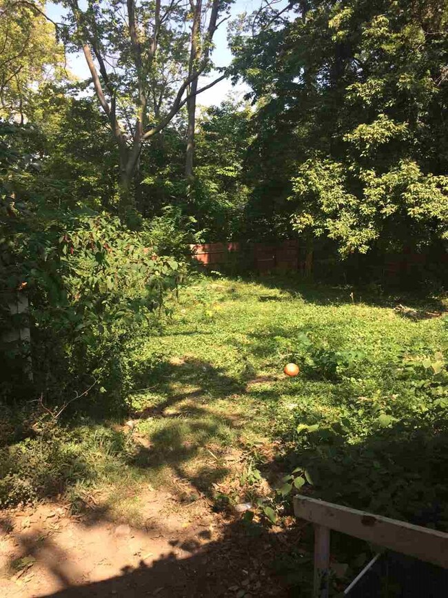 607 E. Miller Dr. - Back Yard