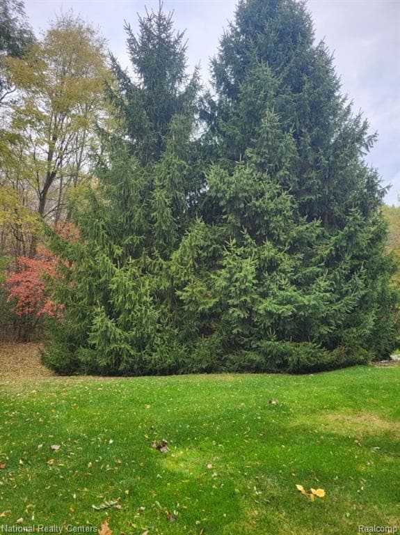 5028 Clintonville Pines Dr unit C16, Clarkston, MI 48346 - photo 4