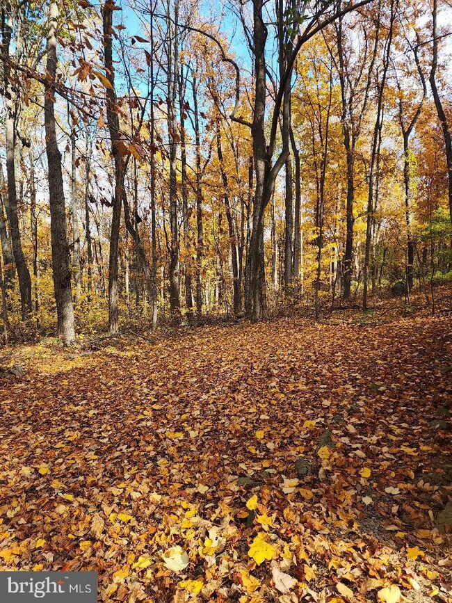 45 Fern Trail Way, Front Royal, VA 22630 - photo 3