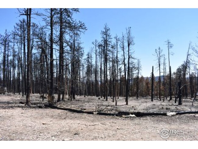 0 Crystal Mountain Rd unit 939671, Bellvue, CO 80512 - photo 5