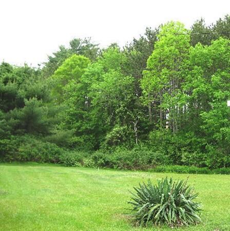 3 Braddock Way (Rt58), Carver, MA 02330 - photo 3