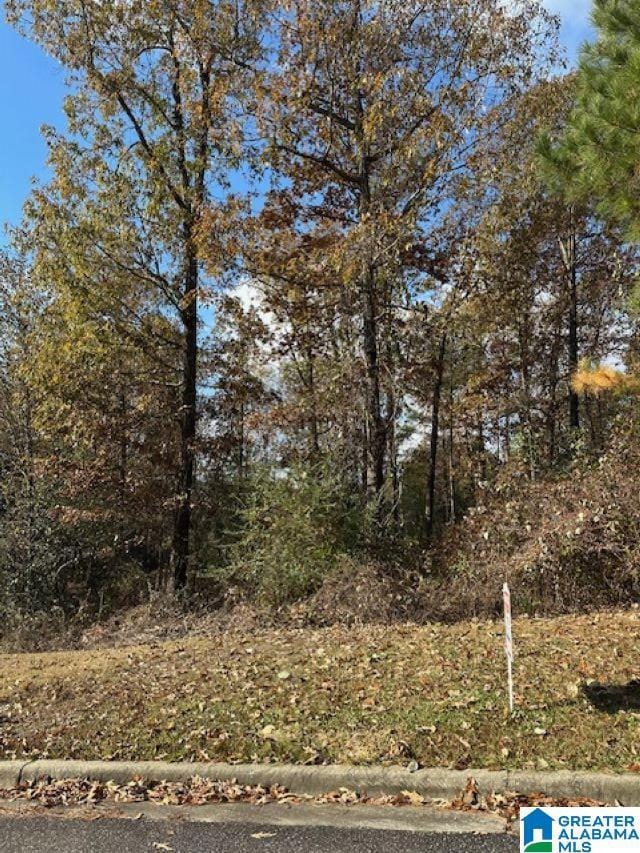 113 Crest Dr, Chelsea, AL 35043 - photo 2