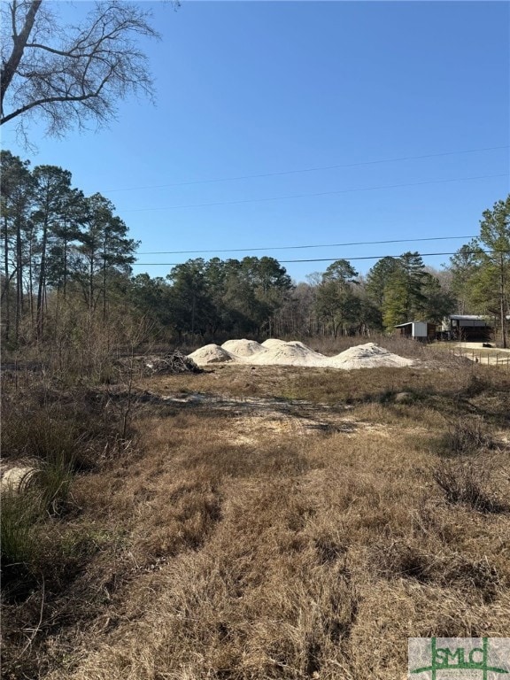 145 Middle Landing Rd, Bloomingdale, GA 31302 - photo 4