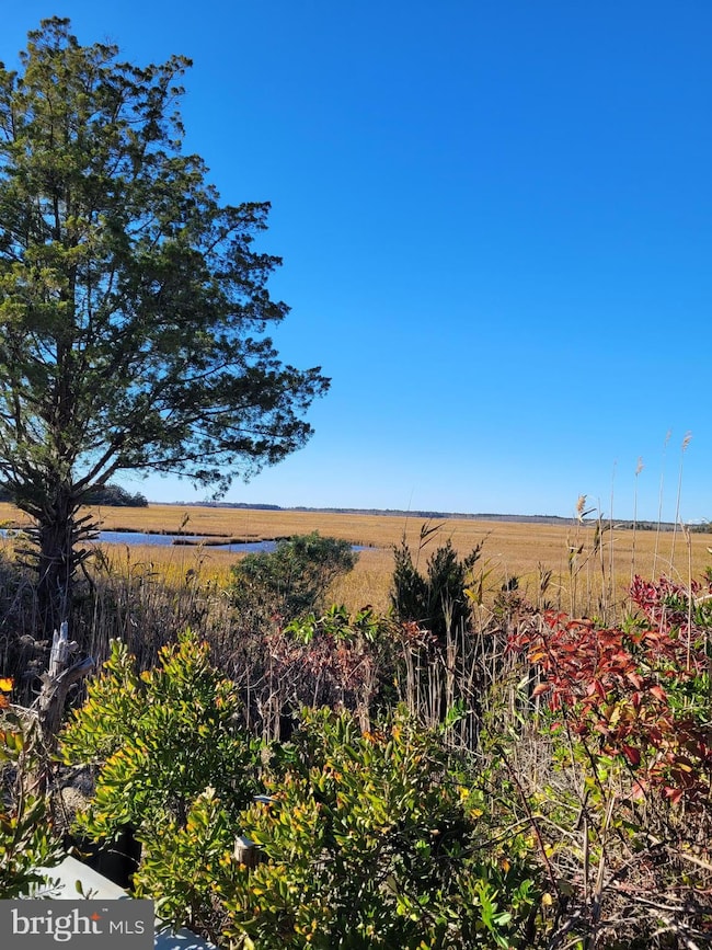 411 W Cala Breeze Way, Little Egg Harbor Township, NJ 08087 - photo 2