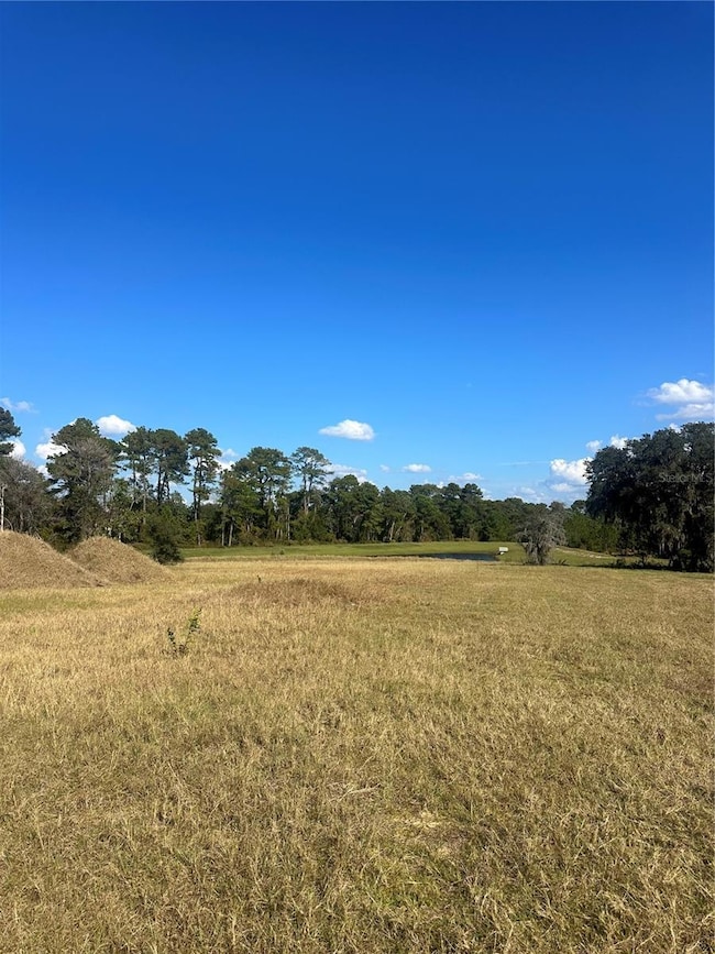 38553 Wooded Meadow Dr, Umatilla, FL 32784 - photo 3