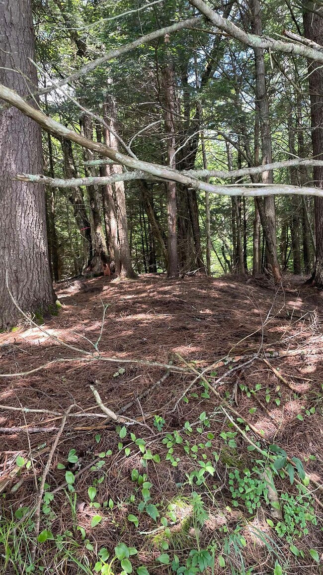 590 Bishop Rd unit 1-2, Lisbon, NH 03585 - photo 5