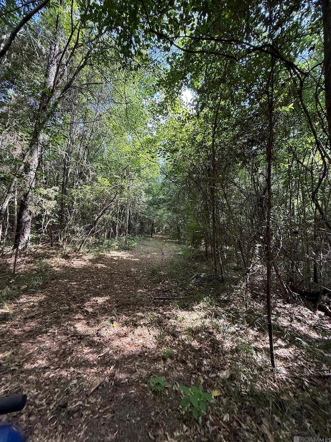 00 Montgomery Rd, Summit, MS 39666 - photo 3