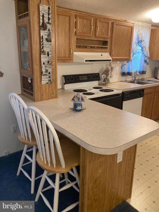 24138 Brach St, Georgetown, DE 19947 - photo 3