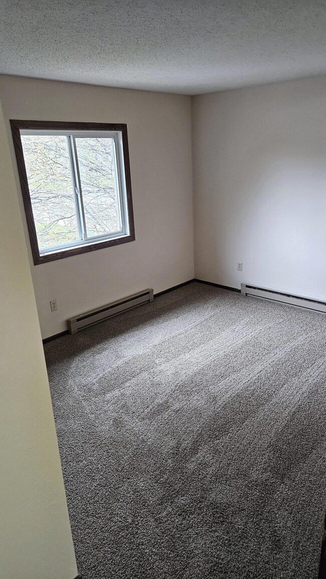 101 4th St E unit 8, Brandon, MN 56315 - photo 6