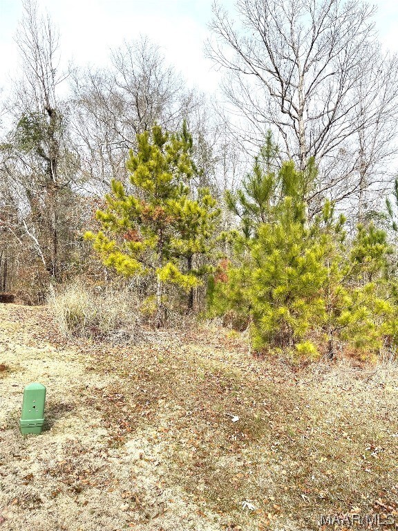 front/left side of lot