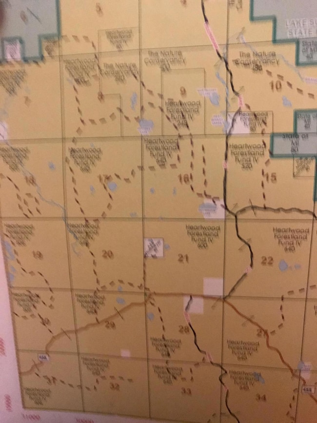 29084 Cr 455, McMillan, MI 49853 - photo 6