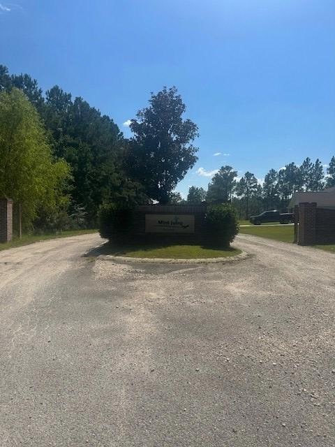 NHN Mint Julep Airpark, Perkinston, MS 39573 - photo 3