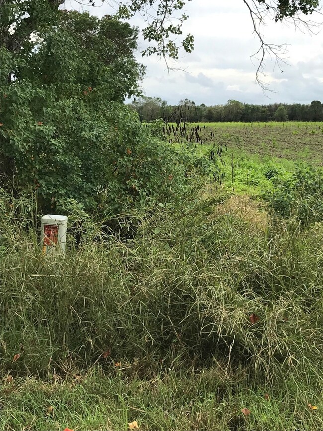 0 Fm 2977 unit 90030807, Fairchilds, TX 77469 - photo 4