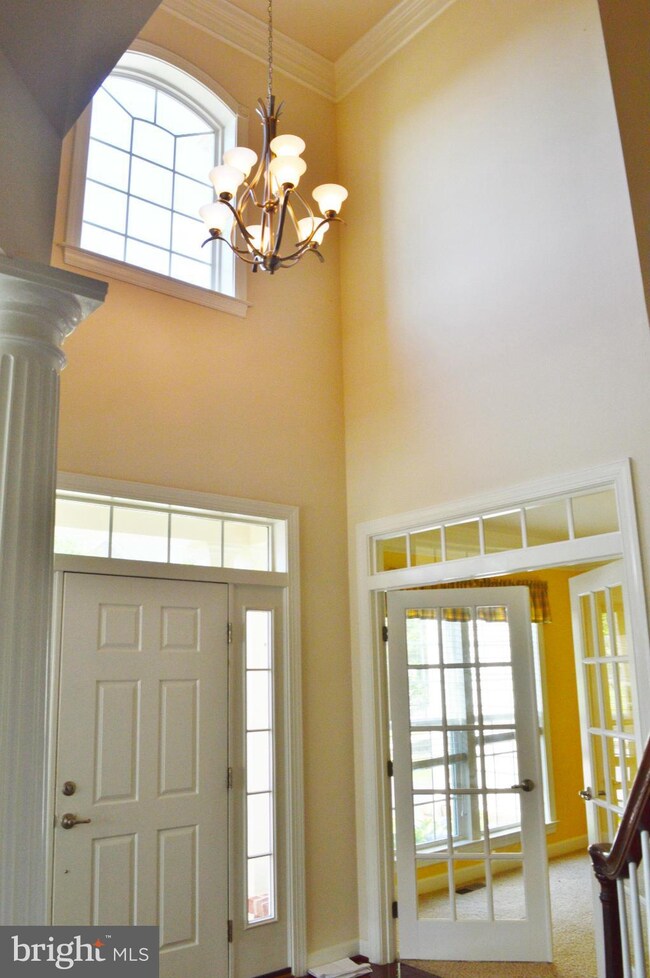 16537 Louisville Place, Woodbridge, VA 22191 - photo 4