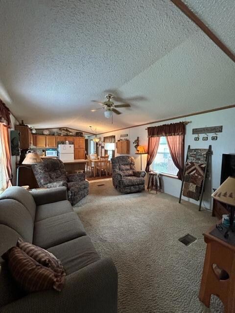 21221 Ferry Ln, Osakis, MN 56360 - photo 6