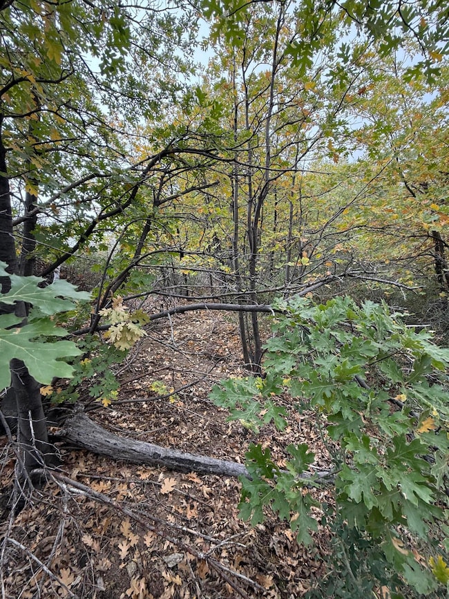 0 Lytle Creek Rd, Lytle Creek, CA 92358 - photo 6