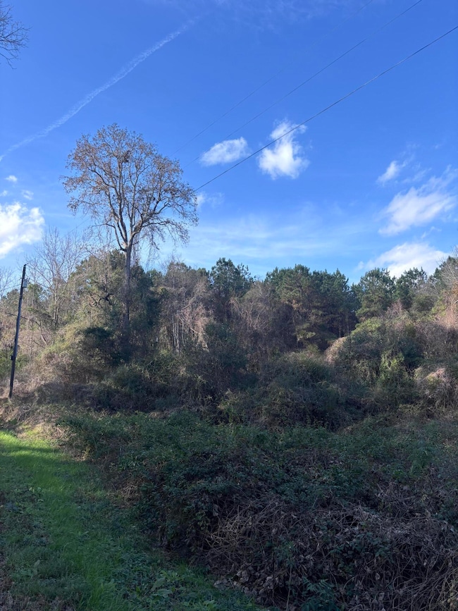 00 Jones Rd, Foxworth, MS 39483 - photo 3