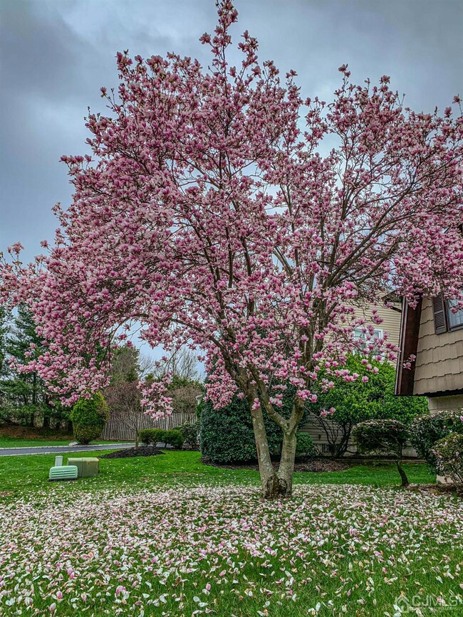 127 Edison Ave, Edison, NJ 08820 - photo 3