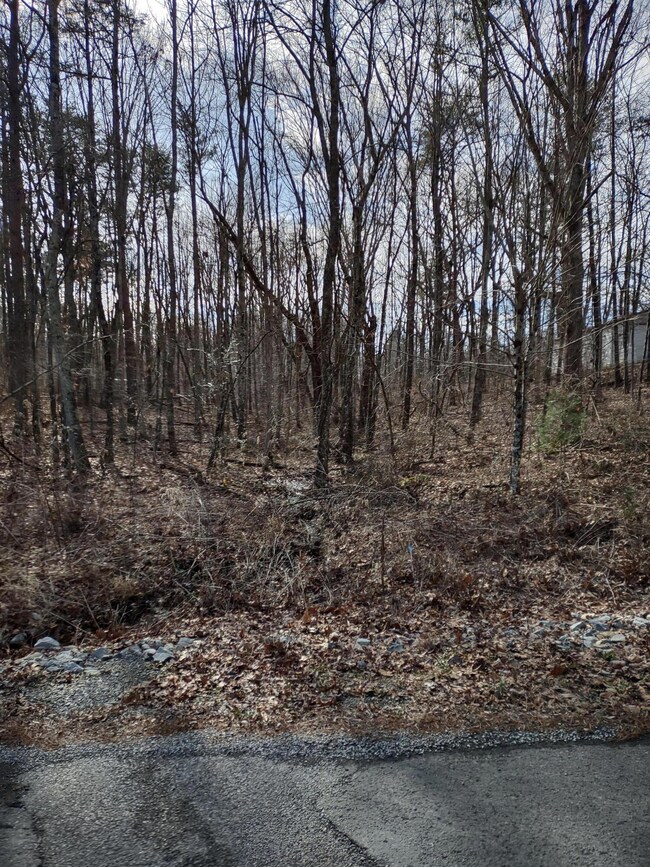 IMG_20220207_110036584_HDR