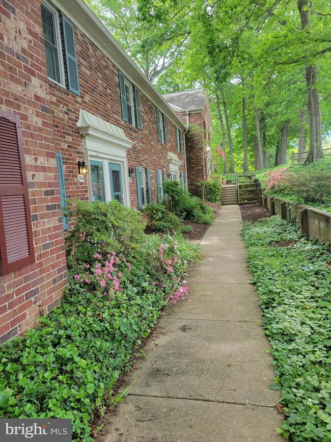 8346 Forrester Blvd unit 453, Springfield, VA 22152 - photo 3