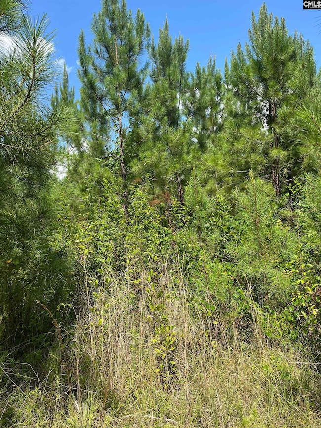 BFF 1A J C Barefoot Rd unit BFF 1A, Patrick, SC 29584 - photo 6