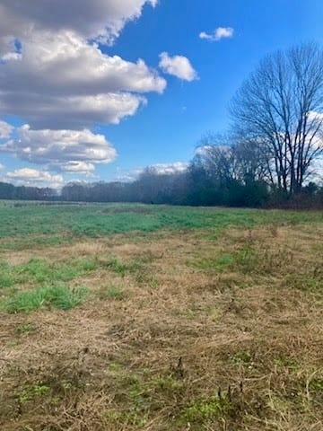 0 Bluff Rd unit RTC3059638, Loretto, TN 38469 - photo 6