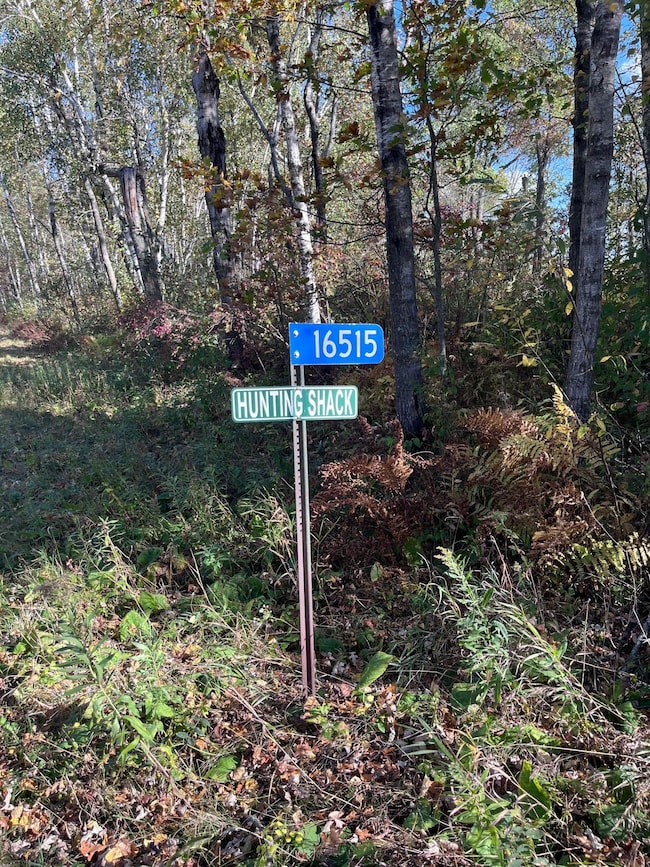 16515 Woodrow Rd, Brainerd, MN 56401 - photo 3