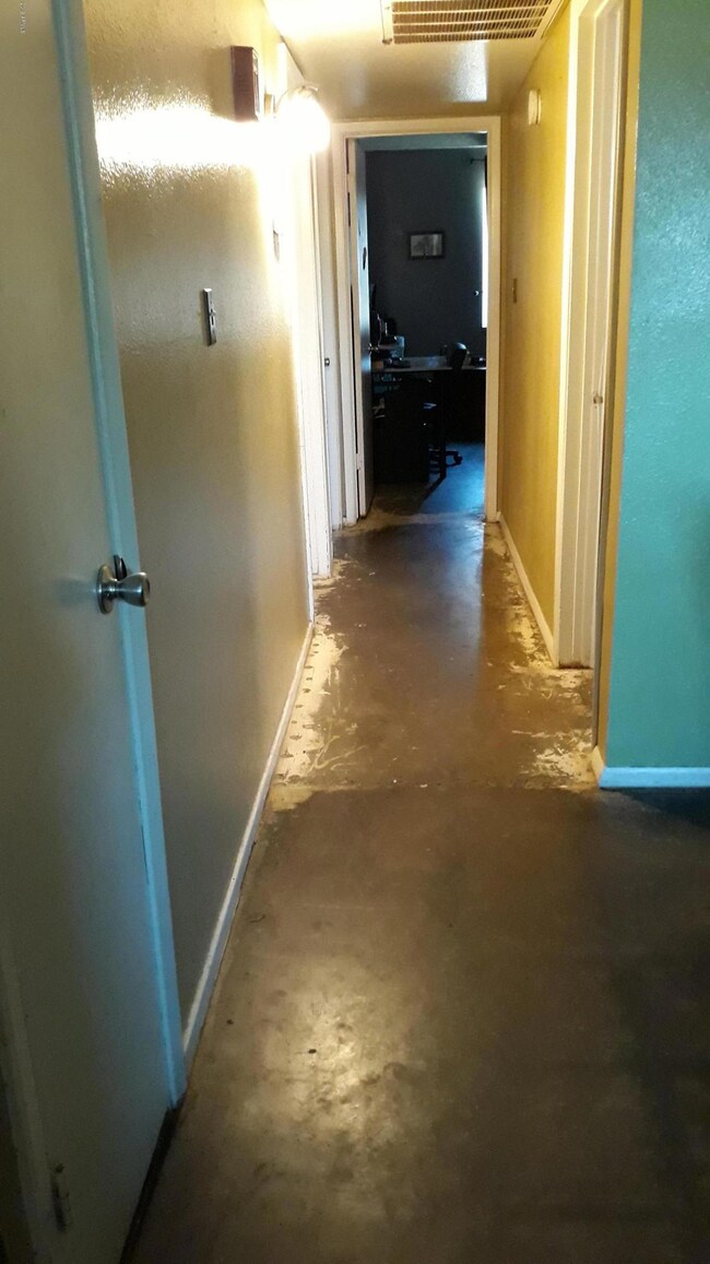 E. 1st St Hallway 1